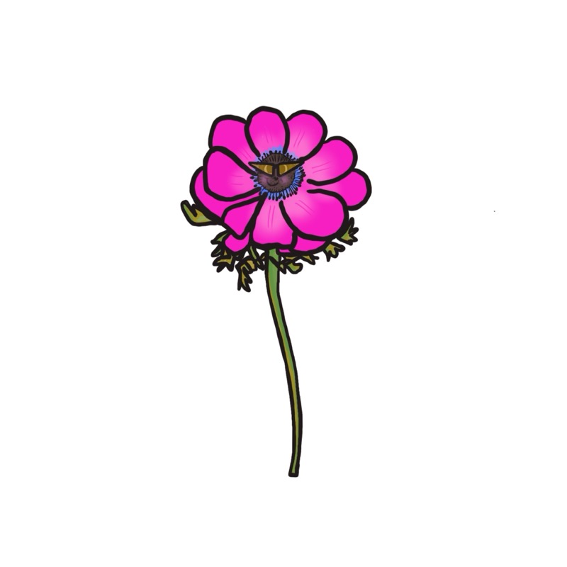 Handgetekende bloemenillustratie door Marretjes